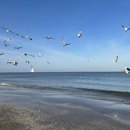 Pension Wald Und See Heringsdorf  Bagian luar foto